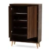 Landen Mid - Century Modern 2 Doors Shoe Storage Cabinet Walnut/Brown/Gold - Baxton Studio
