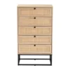 Amelia Wood Rattan 5 Drawer Storage Cabinet Natural Brown/Black - Baxton Studio