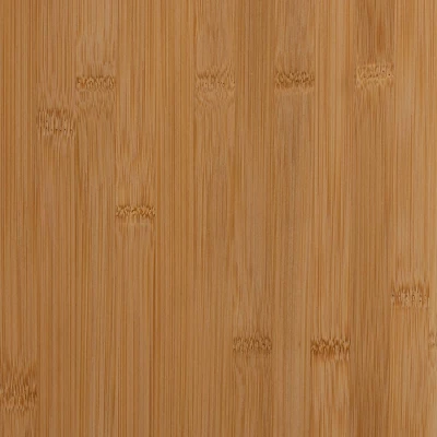 Naresh Bamboo Wood 2 Door Storage Cabinet Natural Brown - Baxton Studio - Image 7